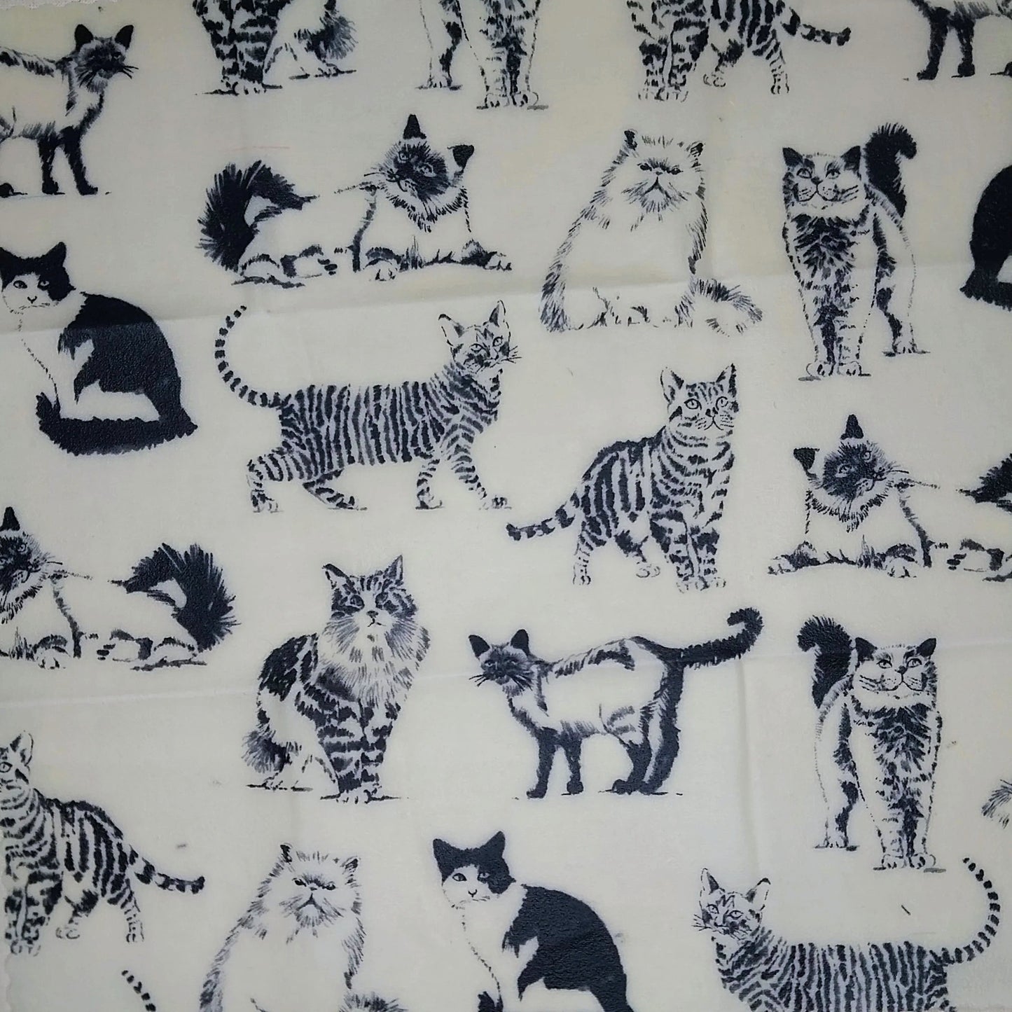 Small Single Beeswax Wraps