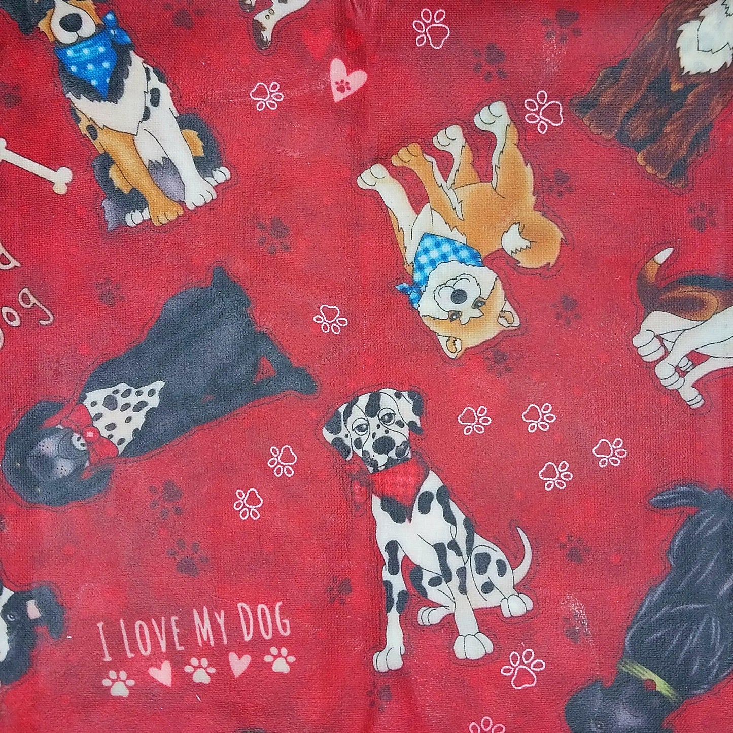 Small Single Beeswax Wraps