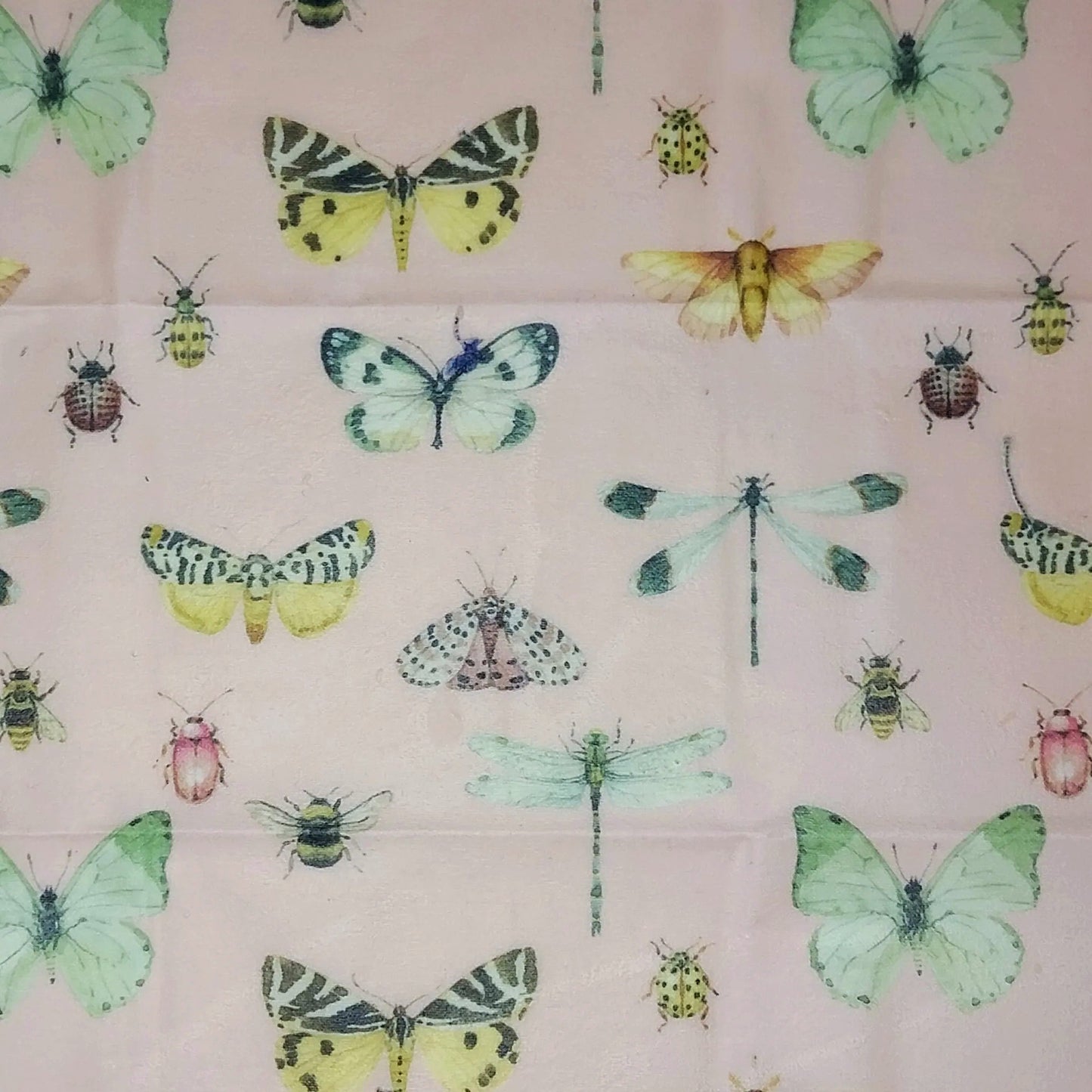 Large Single Beeswax Wraps