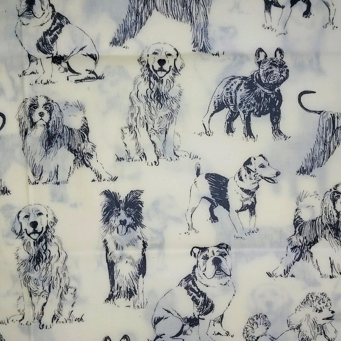 Large Single Beeswax Wraps
