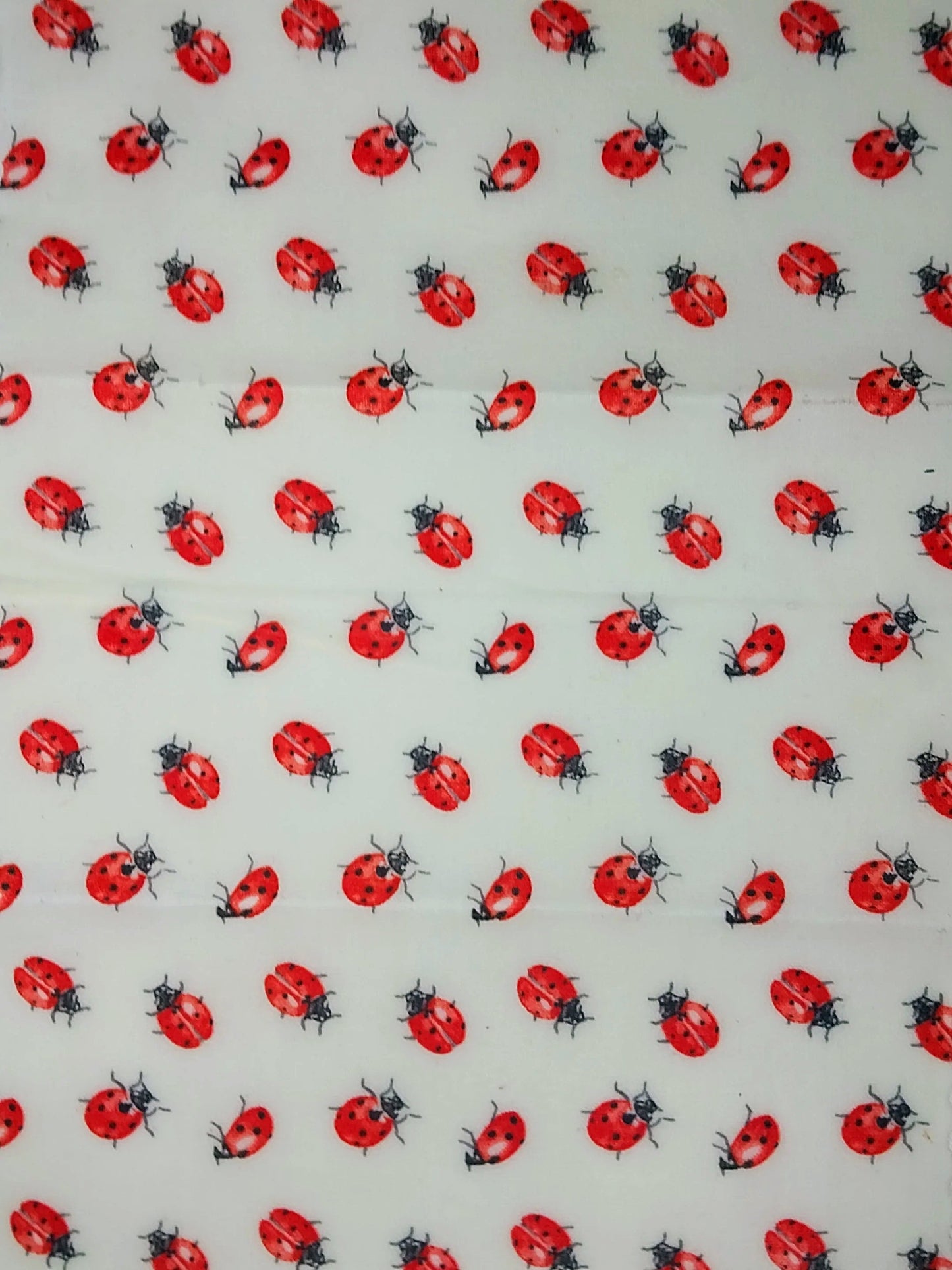 X-Large Single Beeswax Wraps